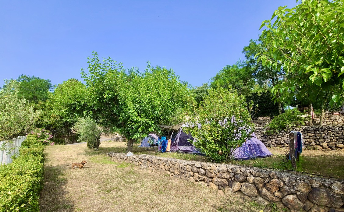 camping du vignal tente ombre ombragé piscines sud ardeche cevennes joyeuse lablachere rosières planzolles ribes payzac lablachere détente famille nature chalet